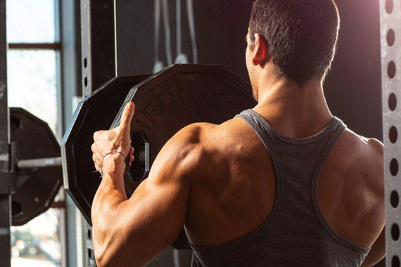 Могут ли мышцы превратиться в жир?
