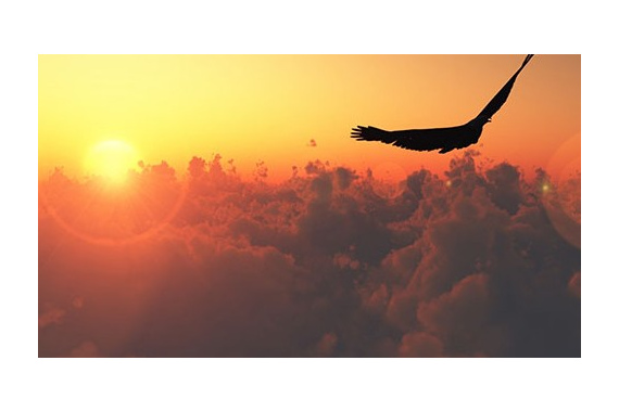 Ключевые моменты медитации: Быть или Делать (видео)