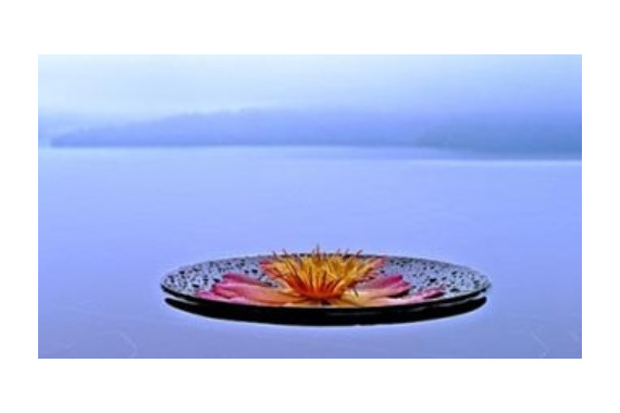 Преобразуя разум (видео)