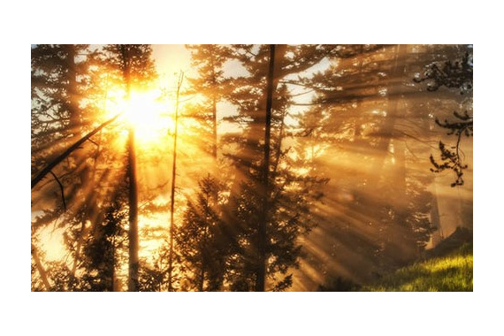 Ключевые моменты медитации: Отпускаем ожидания - Часть I (видео)