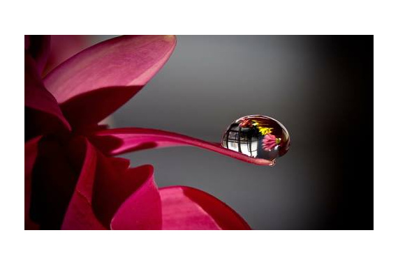 Сущность медитации (видео)