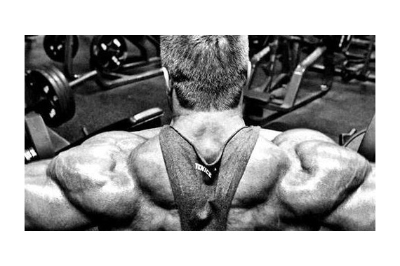 Махи гантелями в стороны (видео)