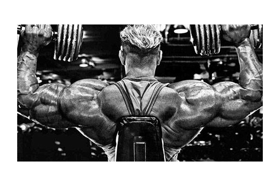 Жим гантелей сидя (видео)