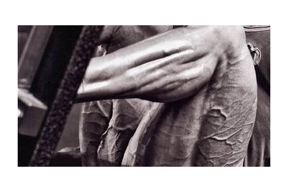 Жим ногами лёжа (видео)