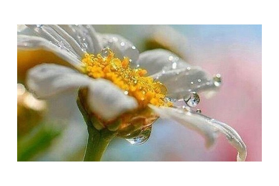 Соединение ума и тела в медитации. Часть II (видео)