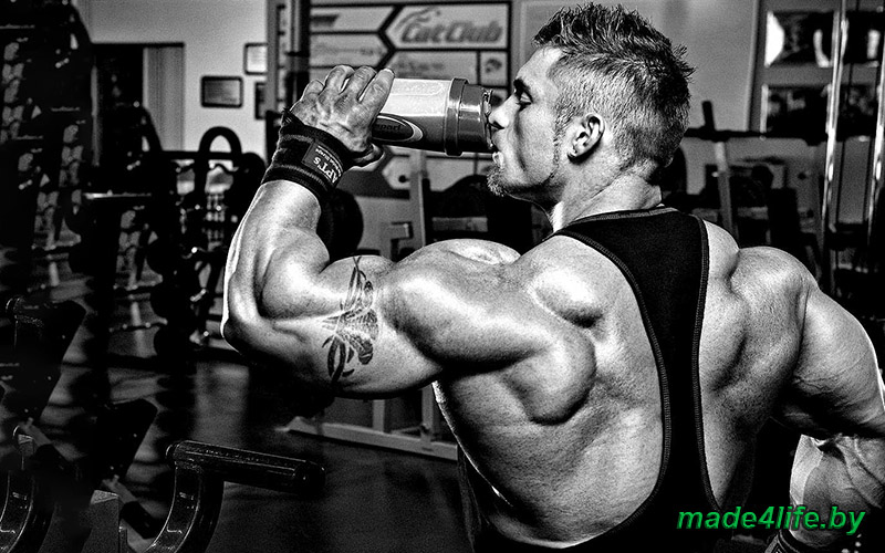 Рациональное питание