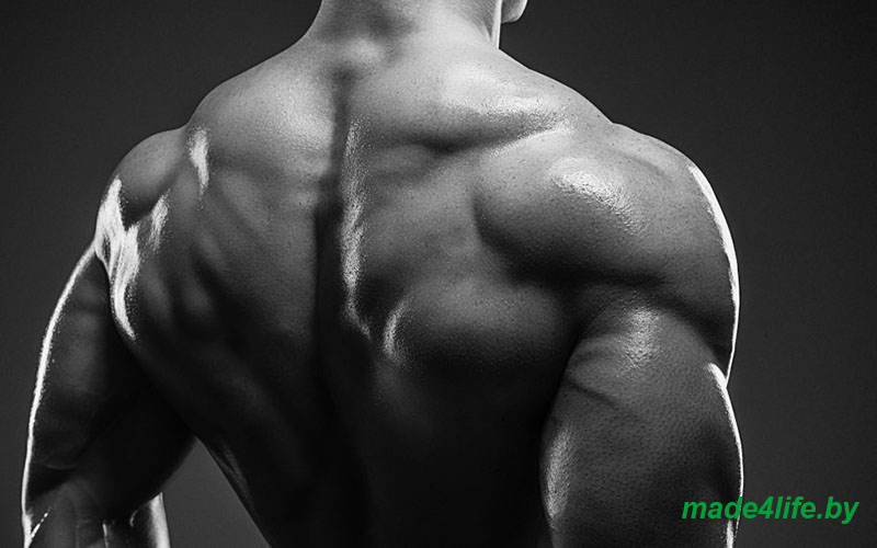 Рациональное питание