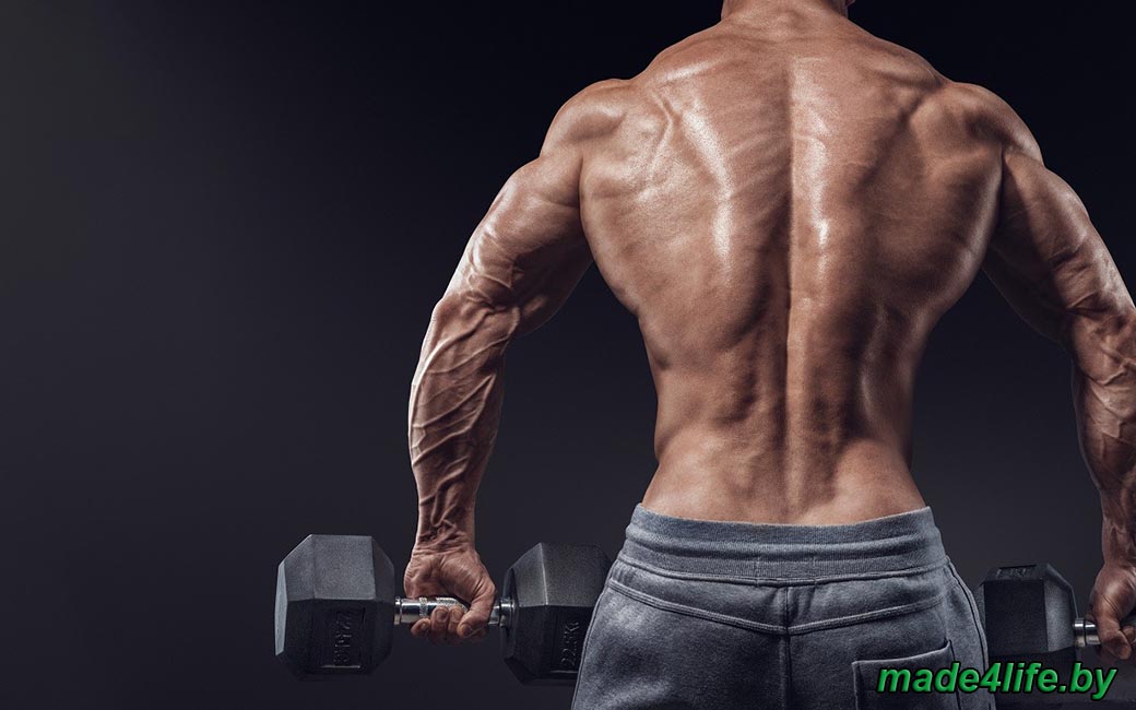 Упражнения для пампинга мышц