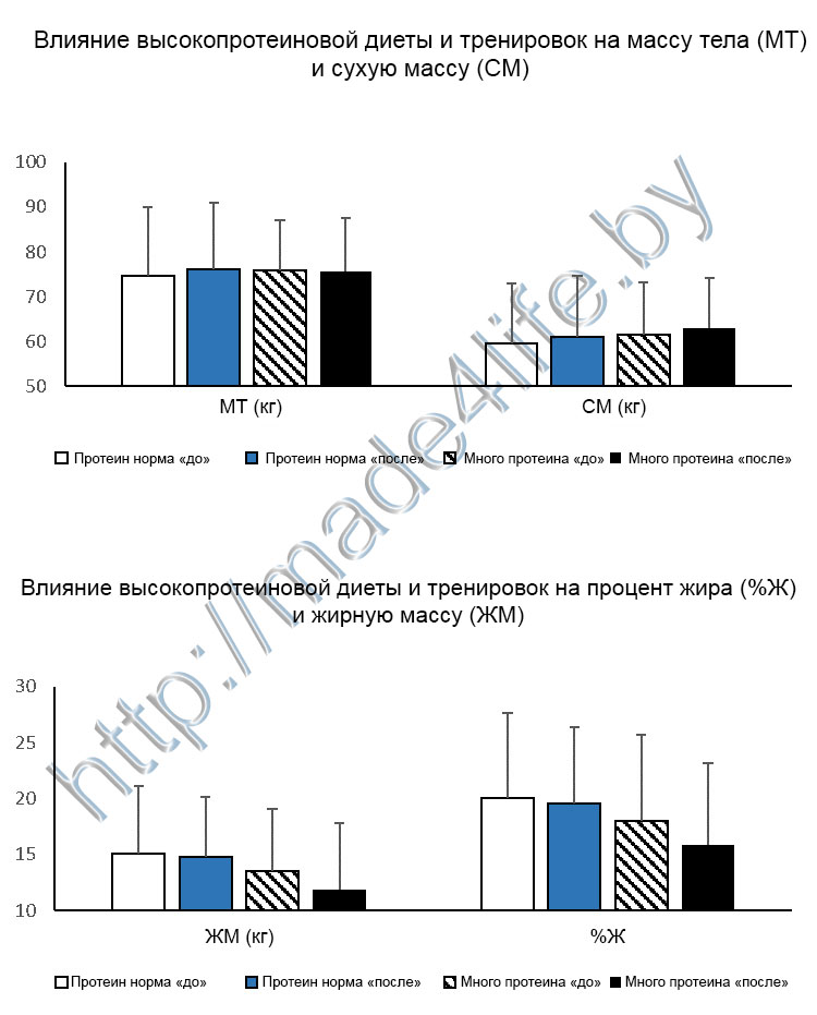 Спортивное питание
