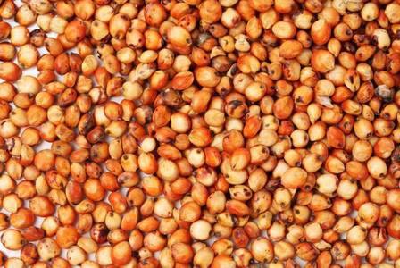 Спортивное питание